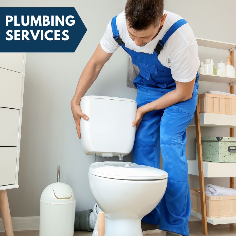 Plumbing Company in Epworth, IA